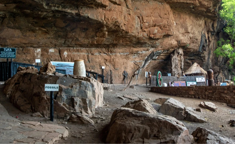 The rock discovery Museum
