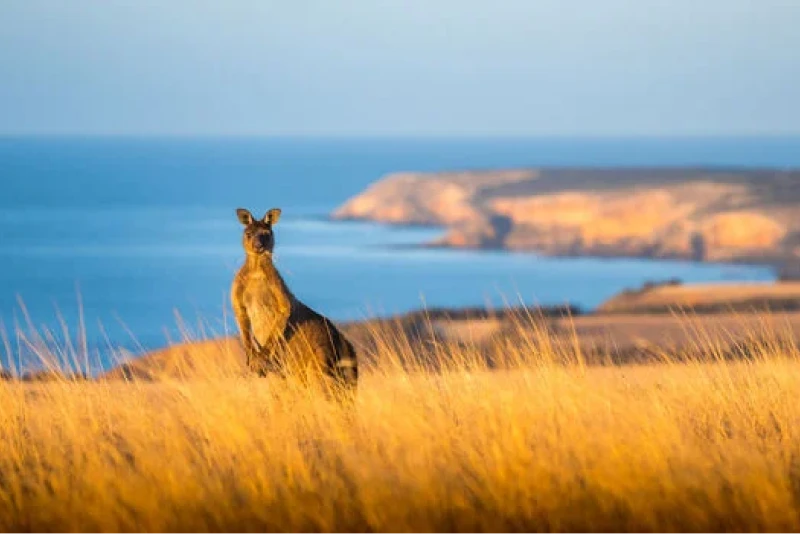 Summer Getaways in Australia