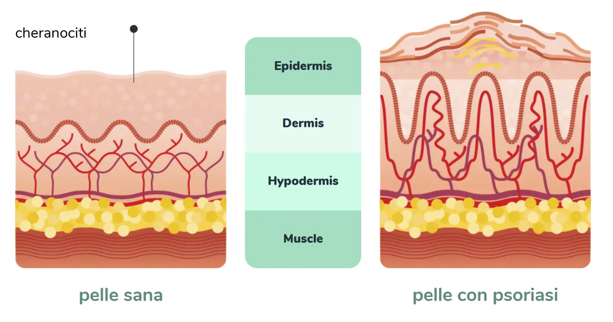 dr derm