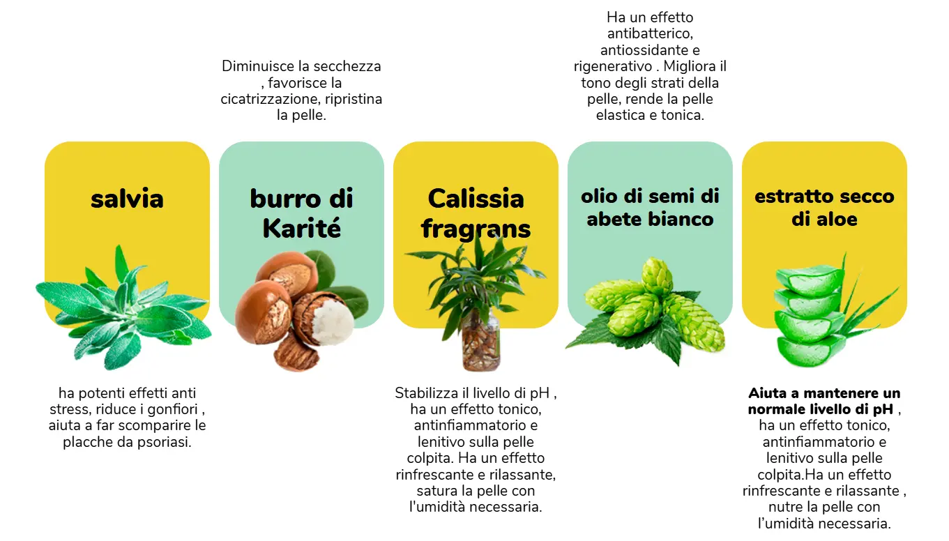dr derm ingredients